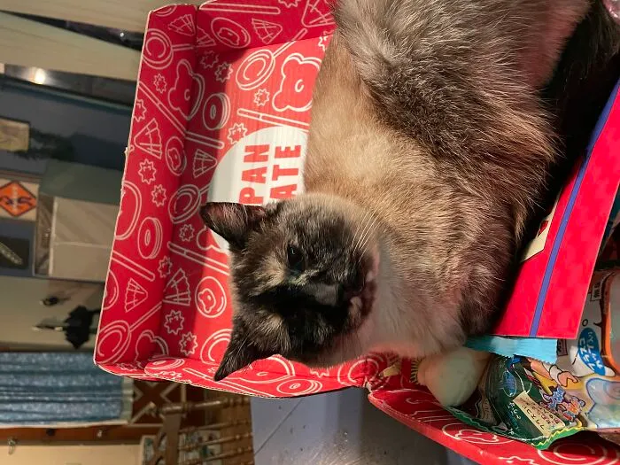 Japan Crate Kitty