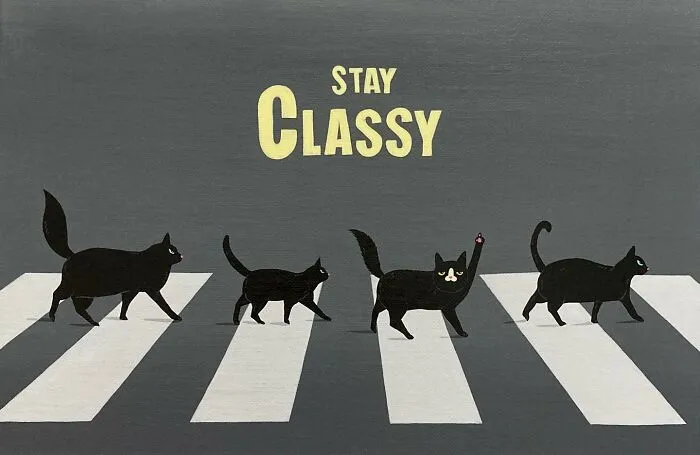 This Artist Blends Their Sarcastic Nature With His Adopted Cat’s Attitude In His 35 Humorous Illustrations