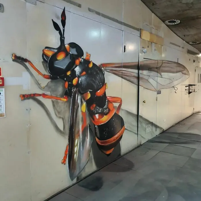These 3D Murals Painted By Sergio Odeith Might Make You Look Twice (30 New Pics)