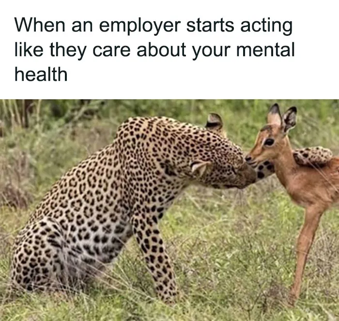 50 Painfully Hilarious Memes From "Just A Typical HR Person"
