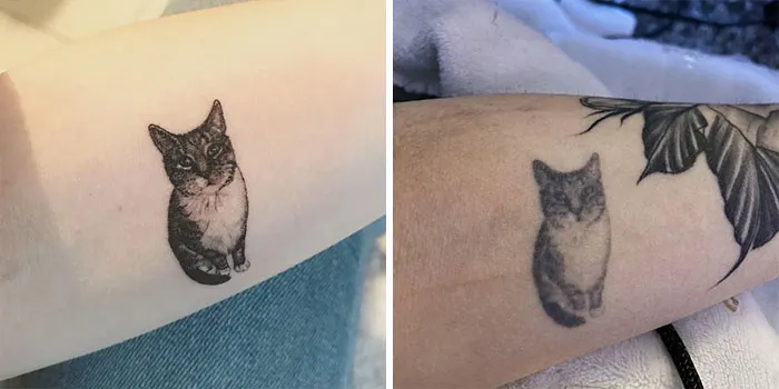Fresh Vs. 4 Years Old