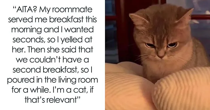 This Hilarious Twitter Thread Has Cats Asking If They're Being Unreasonable