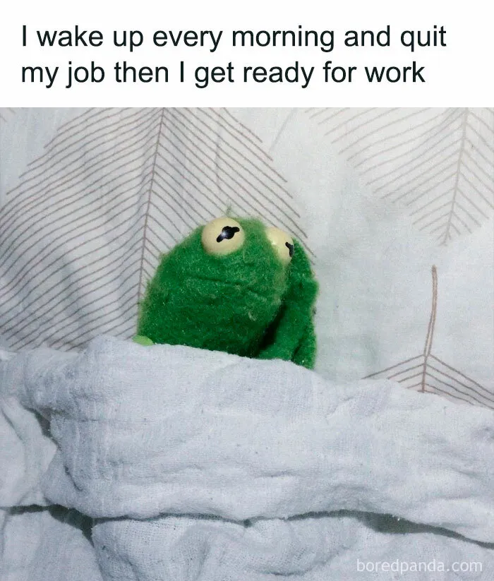 Green frog under blanket with humorous text about quitting job each morning, representing a work week meme.