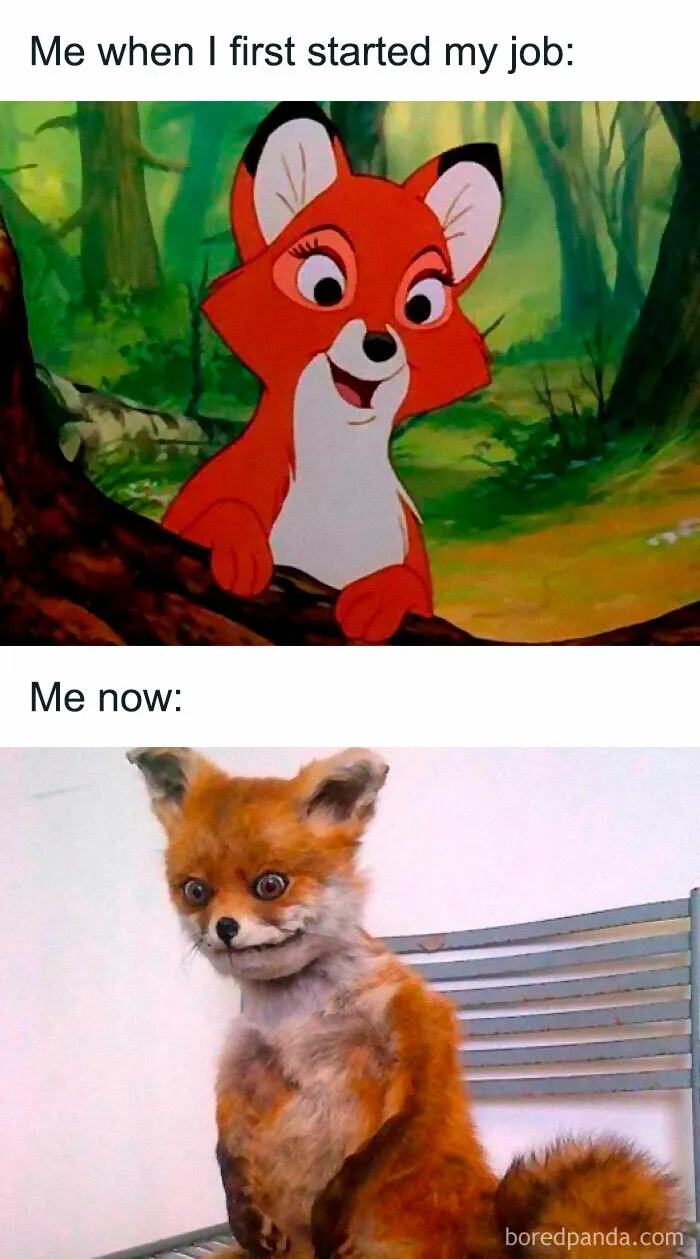 50 Hilariously Painful “Work Week Memes” To Help You Get Through The Week, As You’re Laughing Through Tears