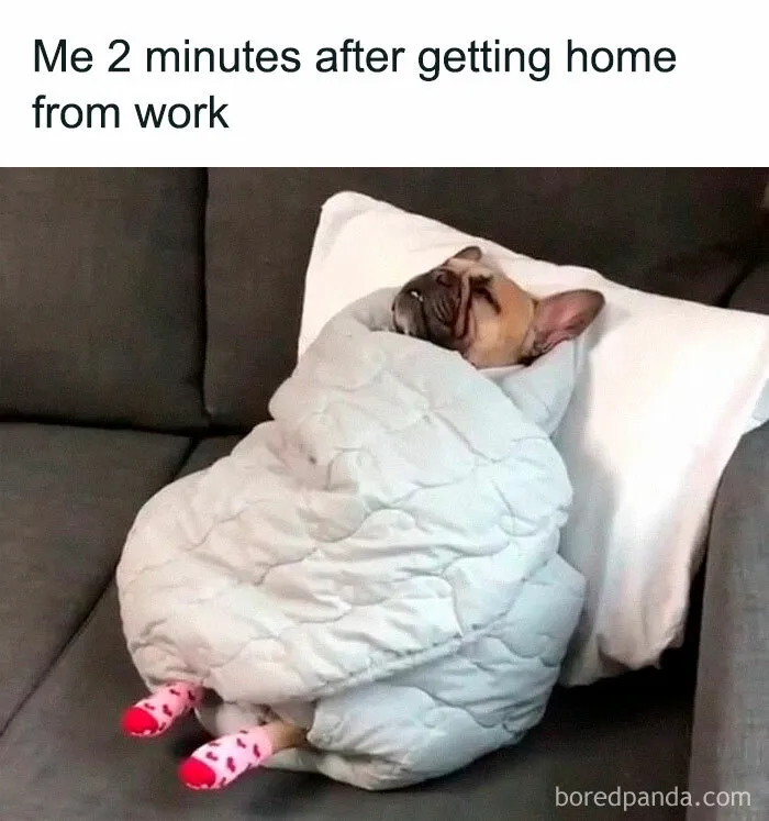 50 Hilariously Painful “Work Week Memes” To Help You Get Through The Week, As You’re Laughing Through Tears