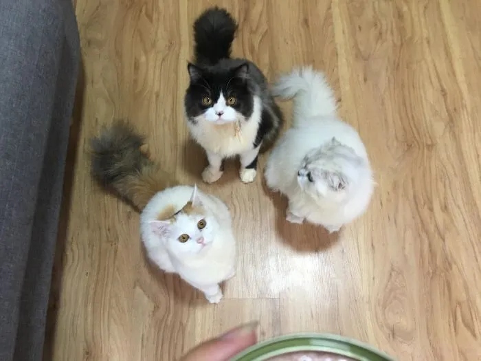 10+ Pet Photos We Feel Warmer Every Day