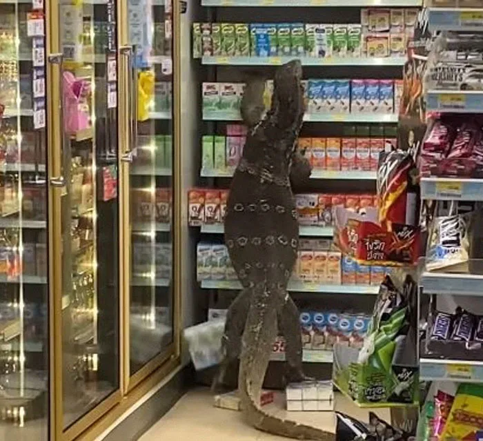 50 Hilarious And Bizarre Pics Of Animals “Where They Shouldn’t Be”