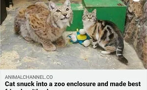50 Hilarious And Bizarre Pics Of Animals “Where They Shouldn’t Be”
