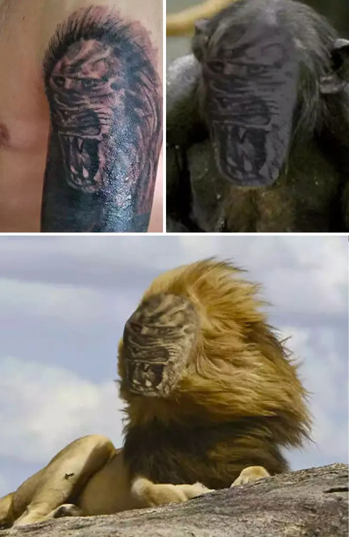 A Chimp... A Lion... Idk