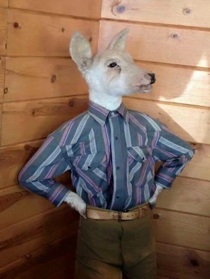 What Every School Counselor Looks Like