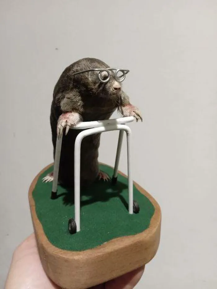 Another Novelty Mole Done