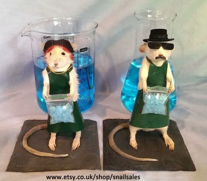 Breaking Bad Taxidermy Rats