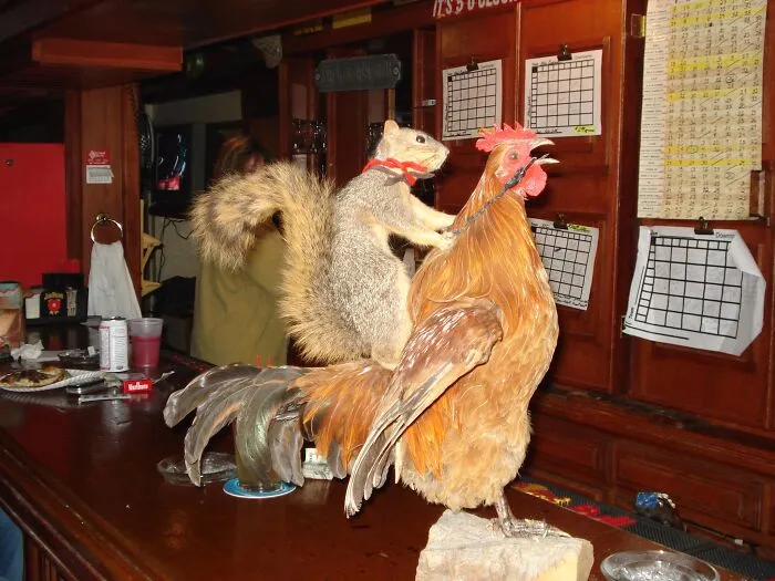 Found This In Bar In Cody, Wyoming Many Years Ago