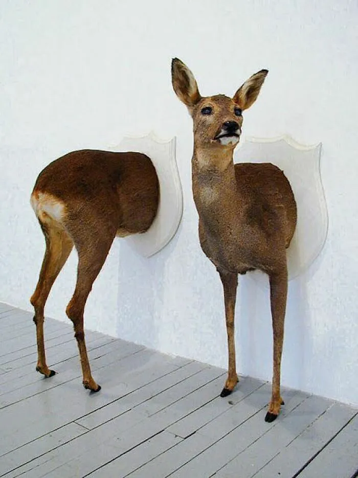 Portal