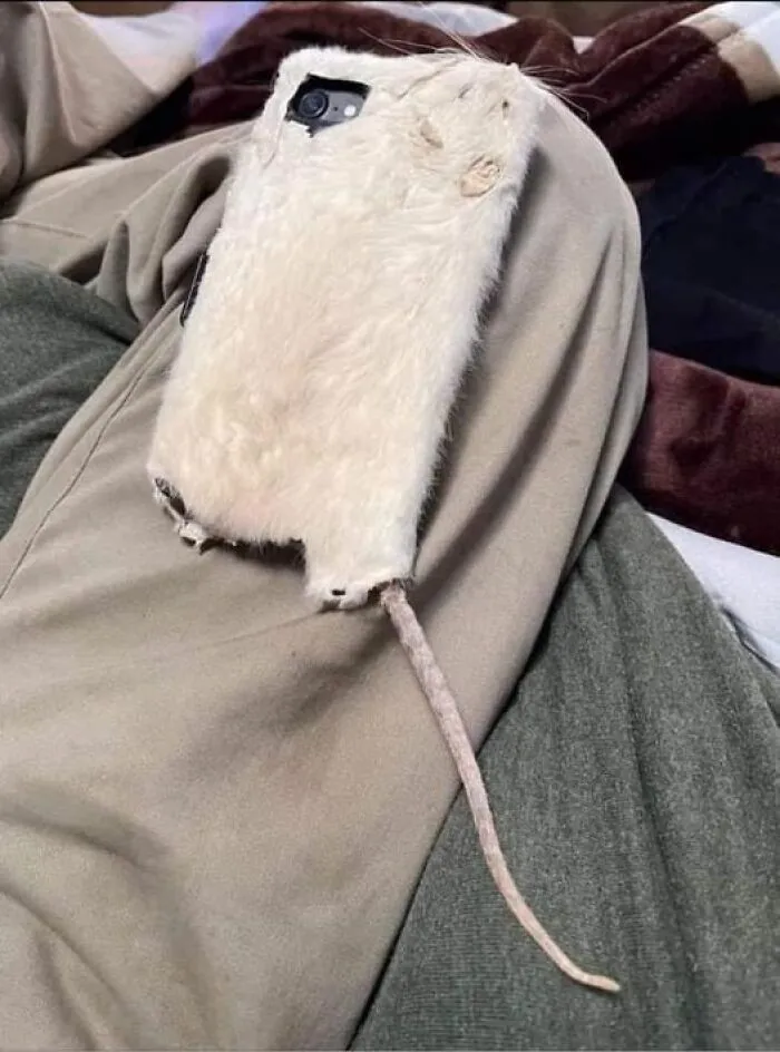 Press The Mouse's Right Ear And Left Foot Simultaneously To Take A Screenshot