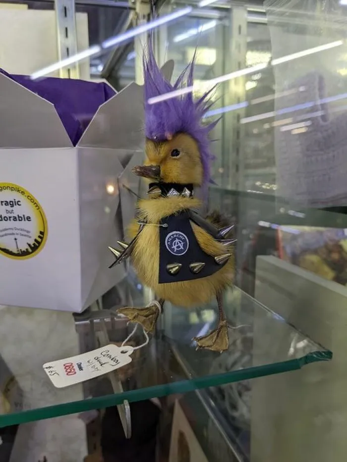 Anarchy Mother Clucker