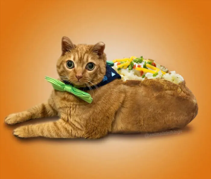 A Photoshop Artist Uses His Imagination To Insert Animals Where You Wouldn't Expect Them To Be ( 18 Pics)