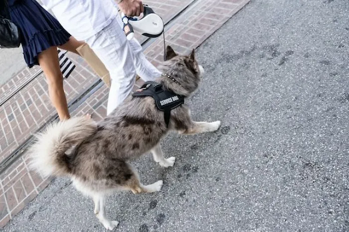 35 Things People Can No Longer Enjoy Because Too Many People Ruined Them