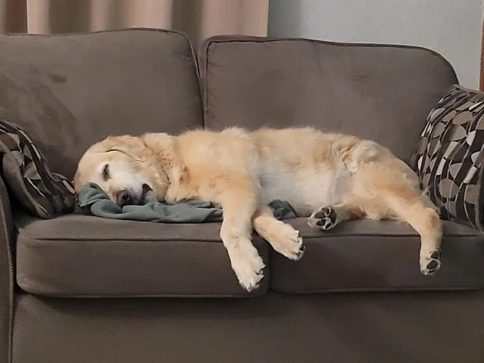 Stewart: Sleepy