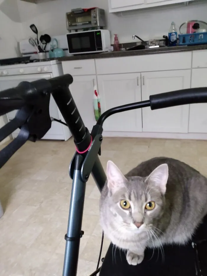 Bouche On My Walker, Waiting For A Ride