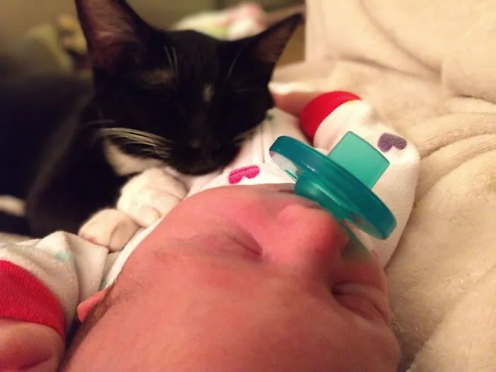 Pacifier Envy