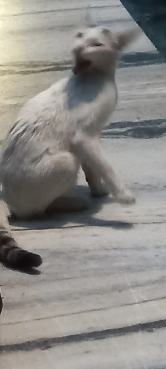Beware! Exorcism Is Being Performed!!