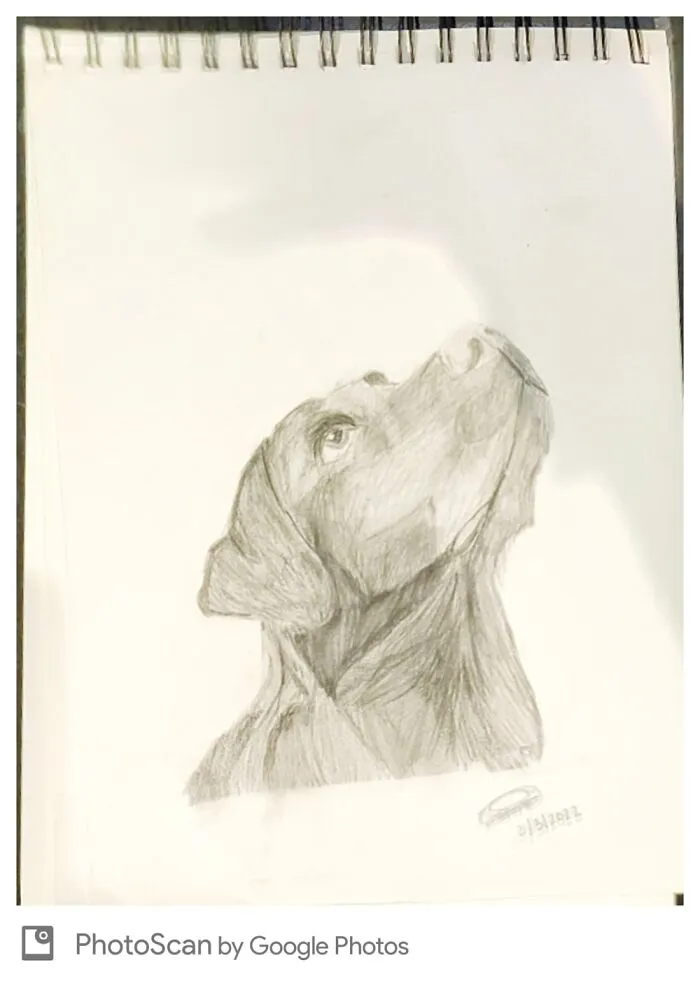 I Was Bored So I Drew My Dog