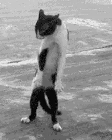 When Your Mom Asks "Who Did This" And You Know You Are In Trouble 🥀