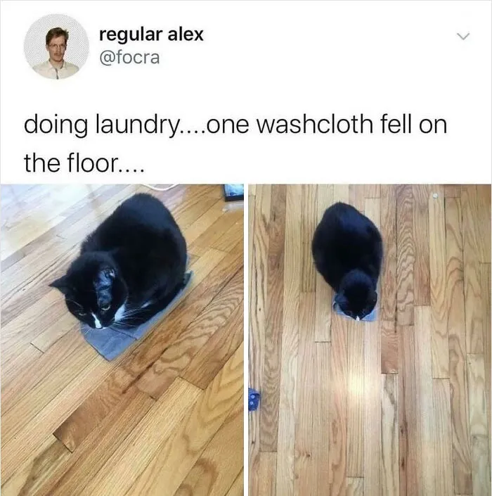 Mine Now