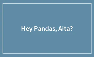 Hey Pandas, AITA? (Closed)