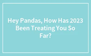 Hey Pandas, How Has 2023 Been Treating You So Far? (Closed)