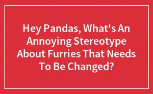 Hey Pandas, What's An Annoying Stereotype About Furries That Needs To Be Changed? (Closed)