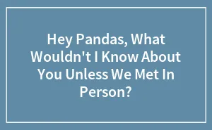 Hey Pandas, What Wouldn't I Know About You Unless We Met In Person? (Closed)
