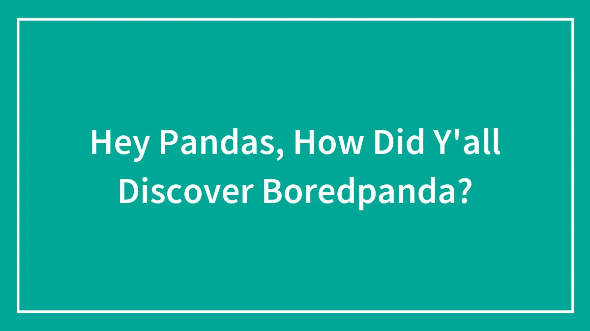 Hey Pandas, How Did Y'all Discover Boredpanda?