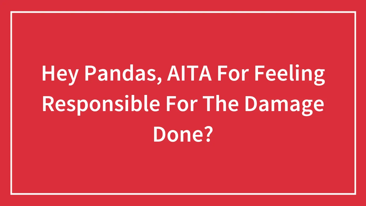 Hey Pandas, AITA For Feeling Responsible For The Damage Done? (Closed)