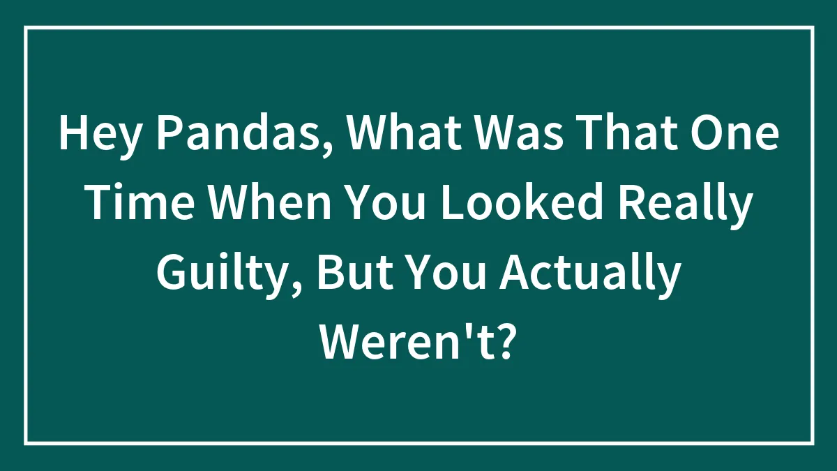 Hey Pandas, What Was That One Time When You Looked Really Guilty, But You Actually Weren't? (Closed)