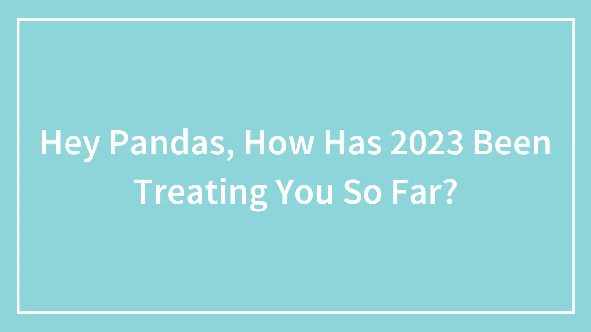 Hey Pandas, How Has 2023 Been Treating You So Far? (Closed)