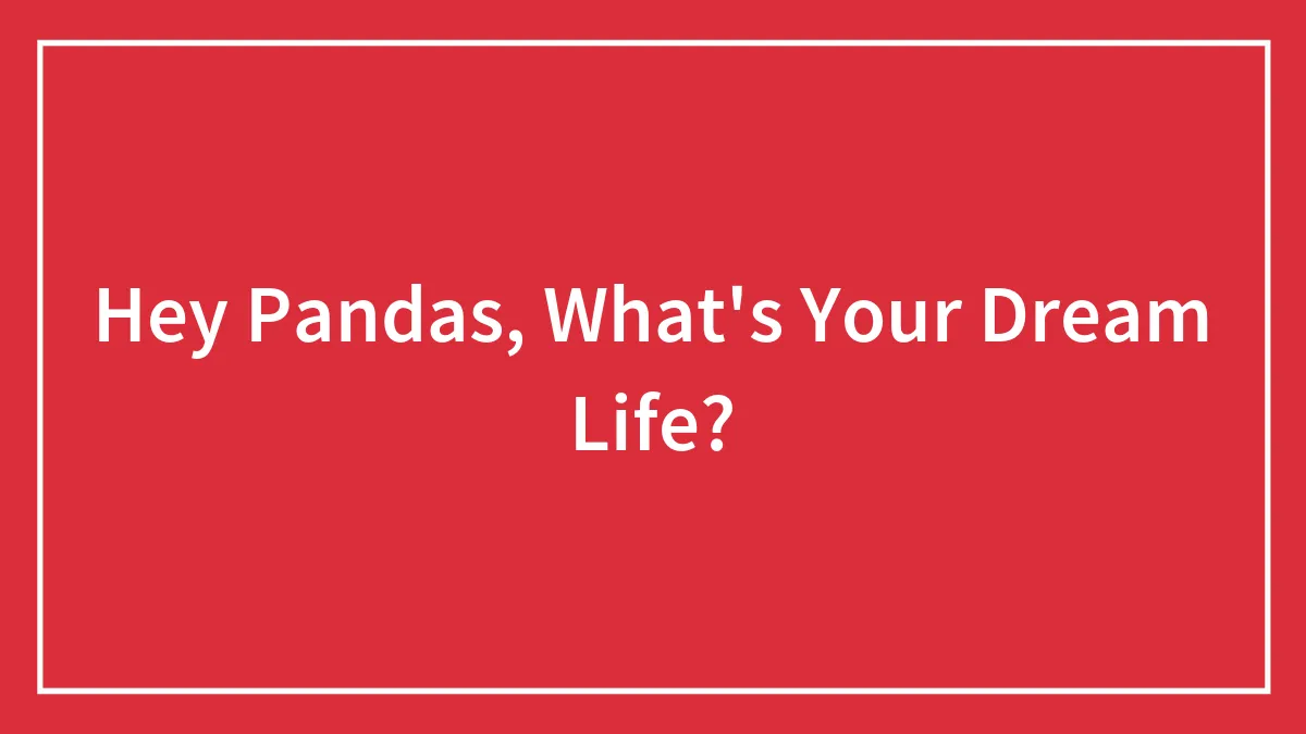 Hey Pandas, What's Your Dream Life? (Closed)