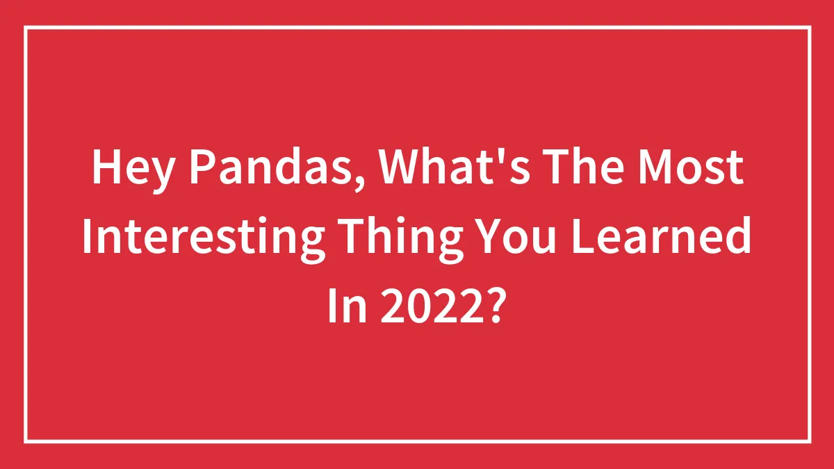 Hey Pandas, What's The Most Interesting Thing You Learned In 2022? (Closed)