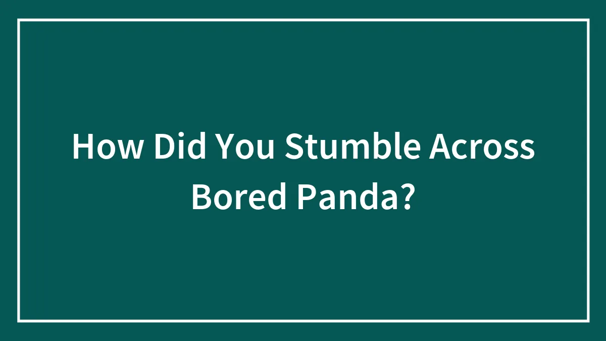 How Did You Stumble Across Bored Panda?