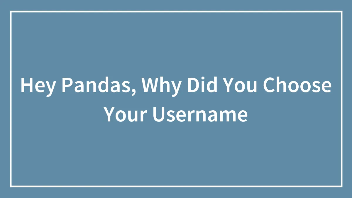 Hey Pandas, Why Did You Choose Your Username
