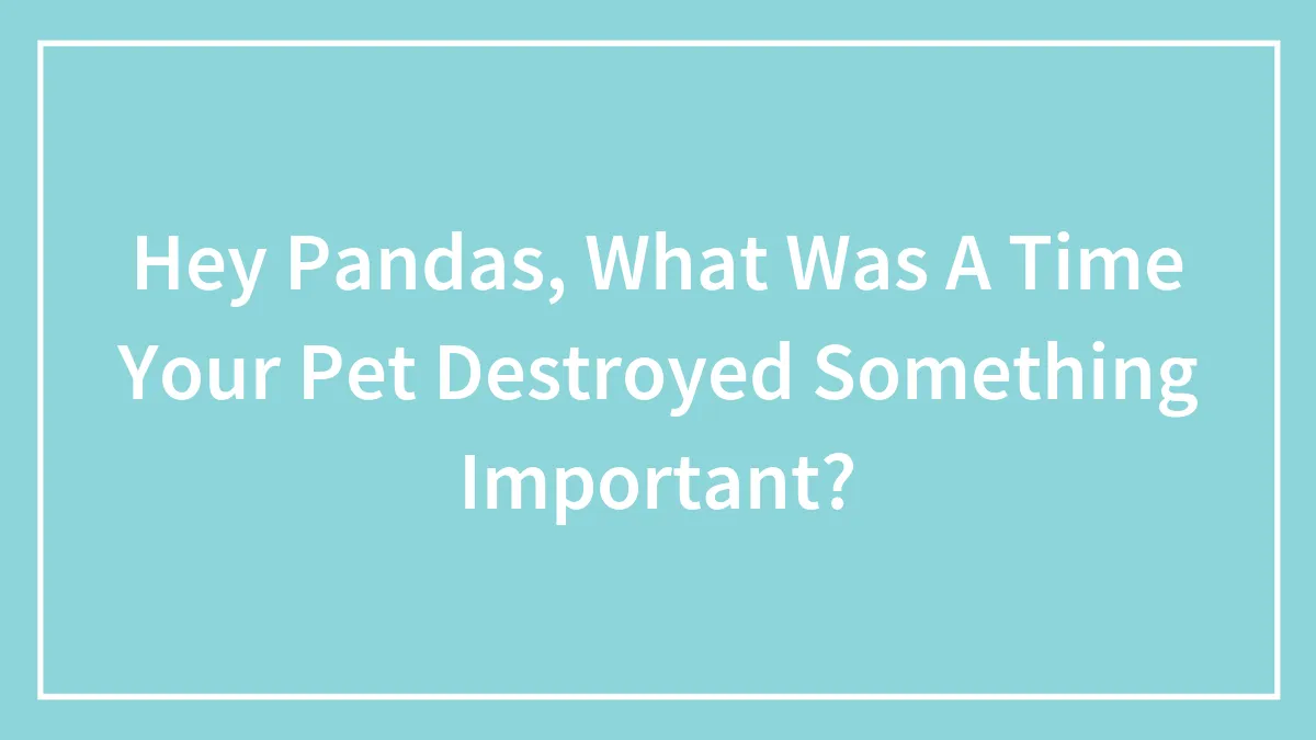 Hey Pandas, What Was A Time Your Pet Destroyed Something Important? (Closed)