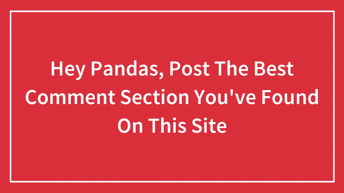 Hey Pandas, Post The Best Comment Section You've Found On This Site