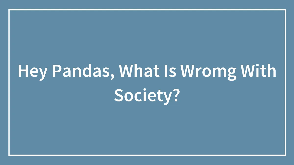 Hey Pandas, What Is Wromg With Society?