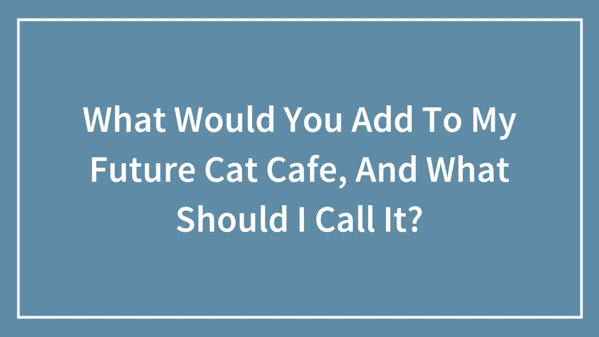 What Would You Add To My Future Cat Cafe, And What Should I Call It?