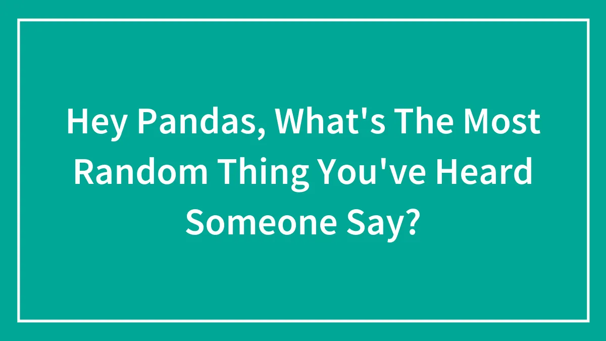 Hey Pandas, What's The Most Random Thing You've Heard Someone Say?