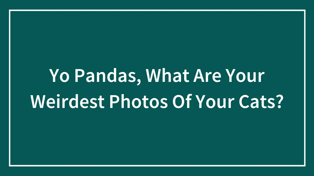 Yo Pandas, What Are The Weirdest Things Your Cat Has Done?