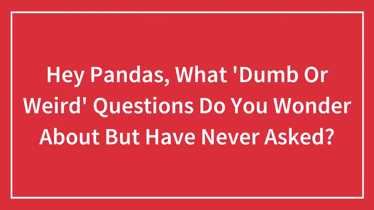 Hey Pandas, What 'Dumb Or Weird' Questions Do You Wonder About But Have Never Asked? (Closed)