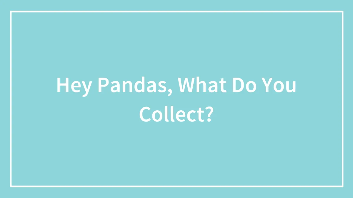 Hey Pandas, What Do You Collect?