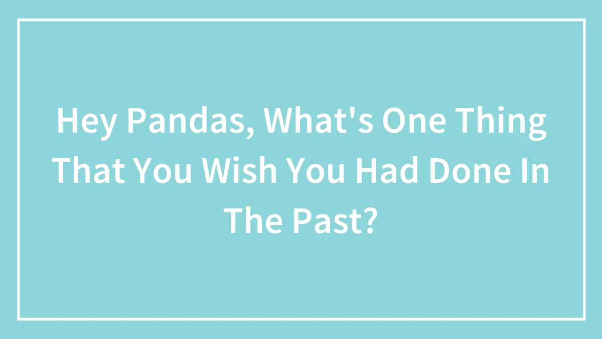 Hey Pandas, What's One Thing That You Wish You Had Done In The Past? (Closed)